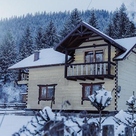 7+Я Villa Verkhovyna Bagian luar foto