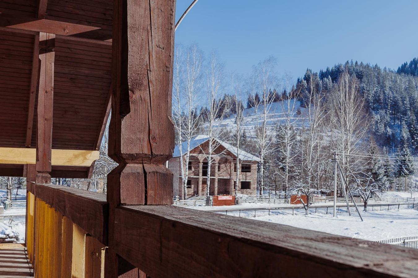 7+Я Villa Verkhovyna Bagian luar foto