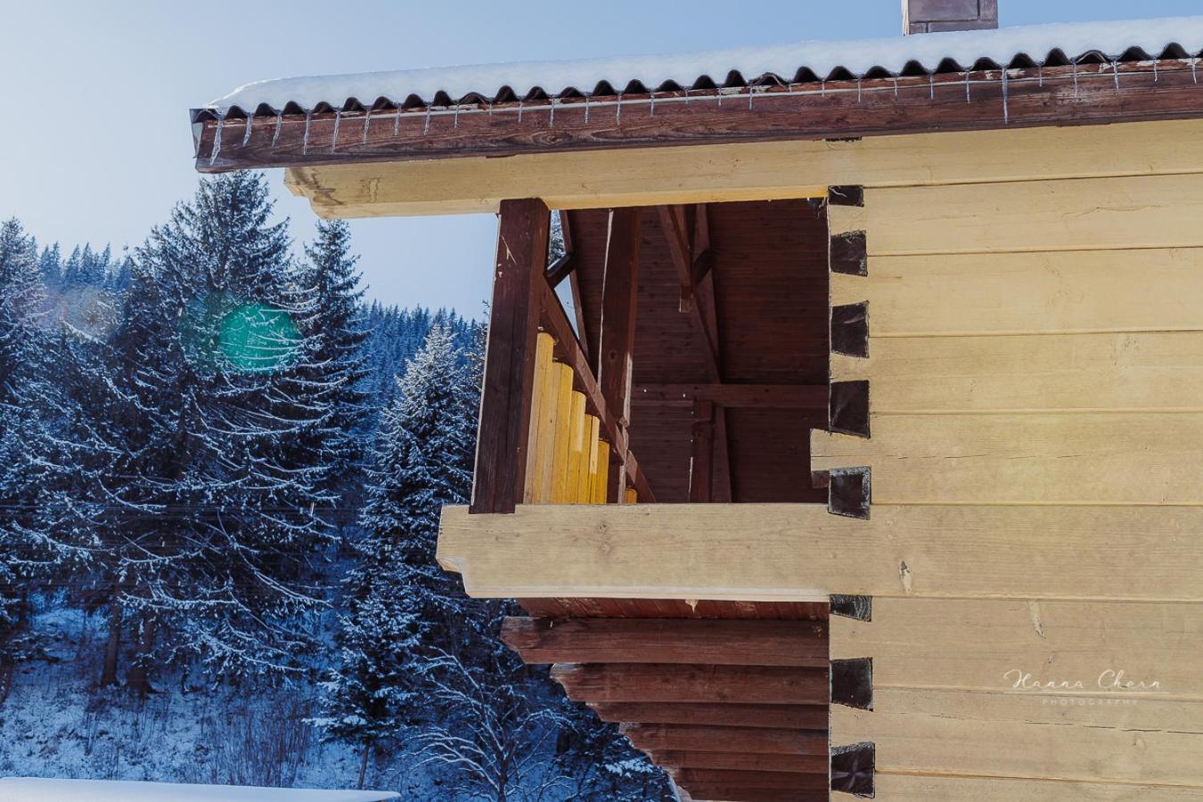 7+Я Villa Verkhovyna Bagian luar foto